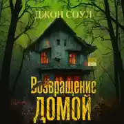 Постер книги Возвращение домой