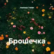 Постер книги Брошечка