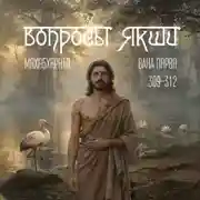 Постер книги Махабхарата – Вопросы Якши