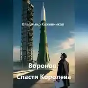 Постер книги Воронов. Спасти Королева