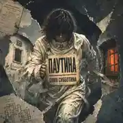 Постер книги Паутина