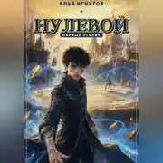 Постер книги Нулевой