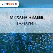 Постер книги Тамарин
