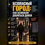 Постер книги Безопасный город: Как безопасно добраться домой