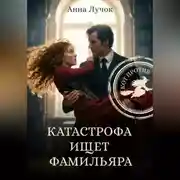 Постер книги Катастрофа ищет фамильяра. Кот Против!