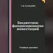 Постер книги Бюджетное финансирование инвестиций