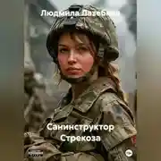 Постер книги Санинструктор Стрекоза