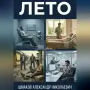 Постер книги Лето