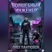 Постер книги Волшебный инженер