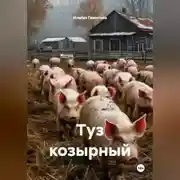 Постер книги Туз козырной