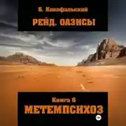 Постер книги Рейд. ОАЗИСЫ книга 6 МЕТЕМПСИХОЗ