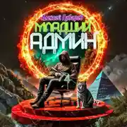 Постер книги Младший админ