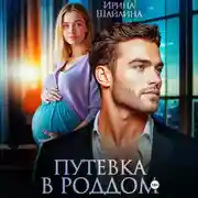 Постер книги Путевка в роддом