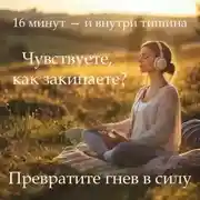 Постер книги Медитация PRO «Мягкое укрощение гнева»