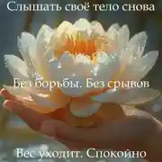 Постер книги Медитация PRO «Снижение веса без срывов»