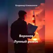 Постер книги Воронов. Лунный рывок