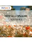  Петр Боборыкин - Поумнел