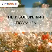 Постер книги Поумнел