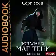 Постер книги Попаданец. Маг Тени. Книга 13