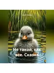 Сергей Чувашов - Не такой, как все. Сказка