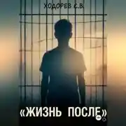 Постер книги Жизнь после
