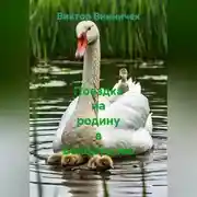Постер книги Поездка на родину в Белоруссию