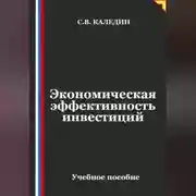 Постер книги Экономическая эффективность инвестиций