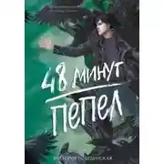Постер книги Пепел