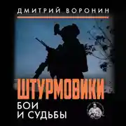 Постер книги Штурмовики. Бои и судьбы