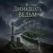 Постер книги Двенадцать ведьм