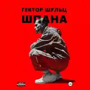 Постер книги Шпана