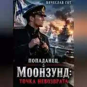 Постер книги Попаданец. Моонзунд: Точка невозврата