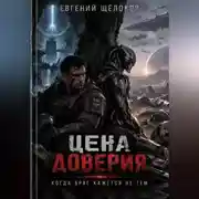 Постер книги Цена доверия