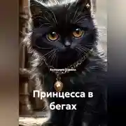 Постер книги Принцесса в бегах