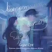 Постер книги Встретимся в синий час
