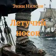 Постер книги Летучий носок