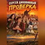 Постер книги Проверка