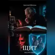 Постер книги Щит