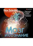 Сборник - Мозг и сознание. Разгадка величайшей тайны человеческого мозга