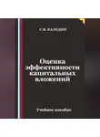 Сергей Каледин - Оценка эффективности капитальных вложений