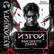 Постер книги Изгой Высшего Ранга VI