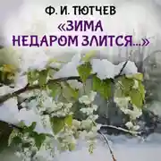 Постер книги Зима недаром злится