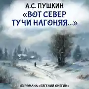 Постер книги Вот север тучи нагоняя