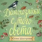Постер книги Домохозяйки с того света