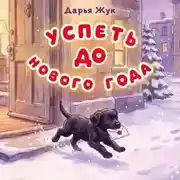 Постер книги Успеть до Нового года