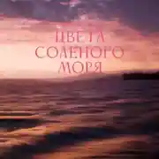 Постер книги Цвета соленого моря