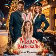 Постер книги Маму вызывали?!