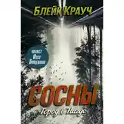 Постер книги Город в Нигде