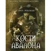 Постер книги Кости Авалона