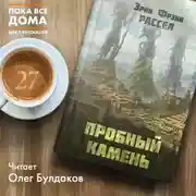 Постер книги Пробный камень